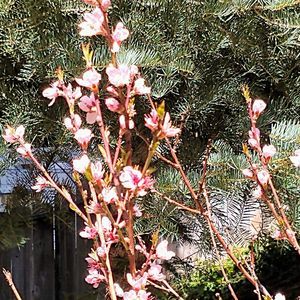 Meet your Posher, Jeanne